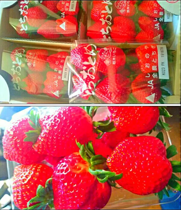 真っ赤な苺🍓を頂きました😍|メイメイda.さん