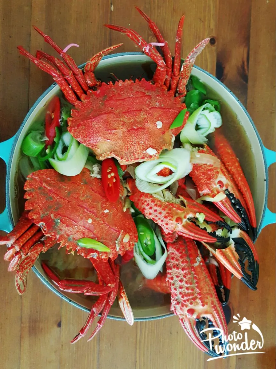 Maldives red flower crab|손명숙さん