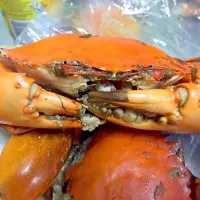 salty bake crabs|Ivan Leeさん