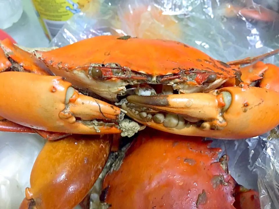 salty bake crabs|Ivan Leeさん