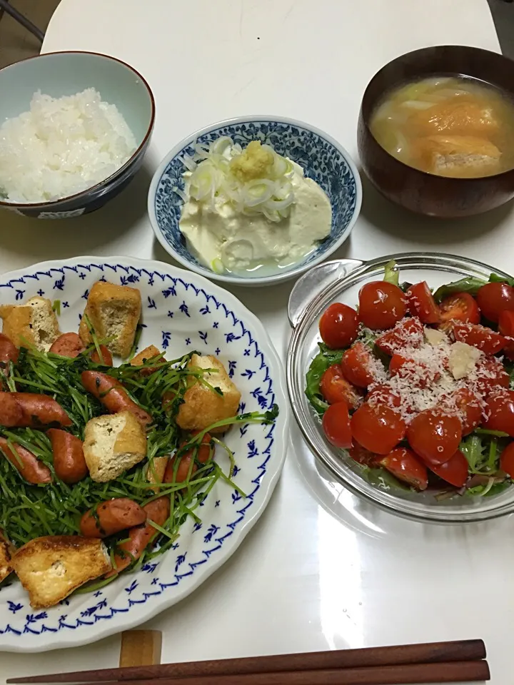 Snapdishの料理写真:豆苗炒め|utayataさん