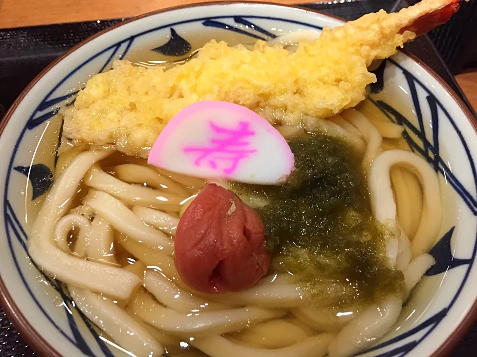 Snapdishの料理写真:年明け大海老うどん|SASAKI Hiroshiさん