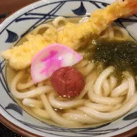 Snapdishの料理写真:大海老天うどん|Koichi Shibataさん