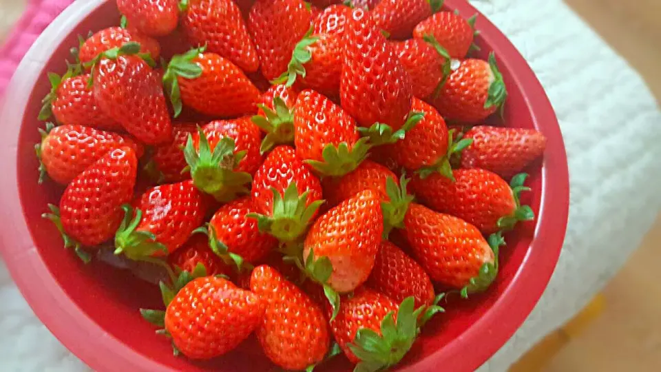 "สตรอเบอร์รี่" (strawberry)🍓🍓
อุ๊ป!!! หวาน ฉ่ำ มากมาย...😋😋|🙋🍗..Papa Naughty..🍳🙎さん