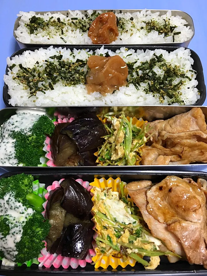 豚焼肉 豆苗と卵の炒め物 茄子炒め煮 ブロッコリー弁当。|Kumiko Kimuraさん