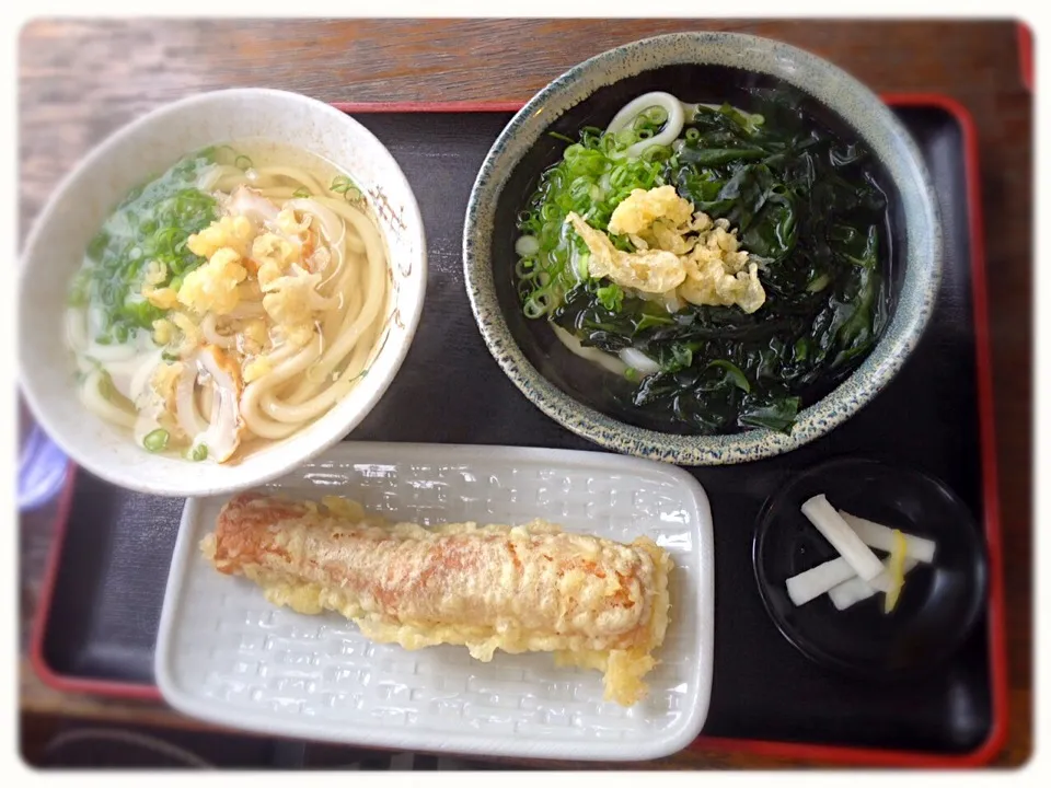 Snapdishの料理写真:讃岐うどん|もっさんさん