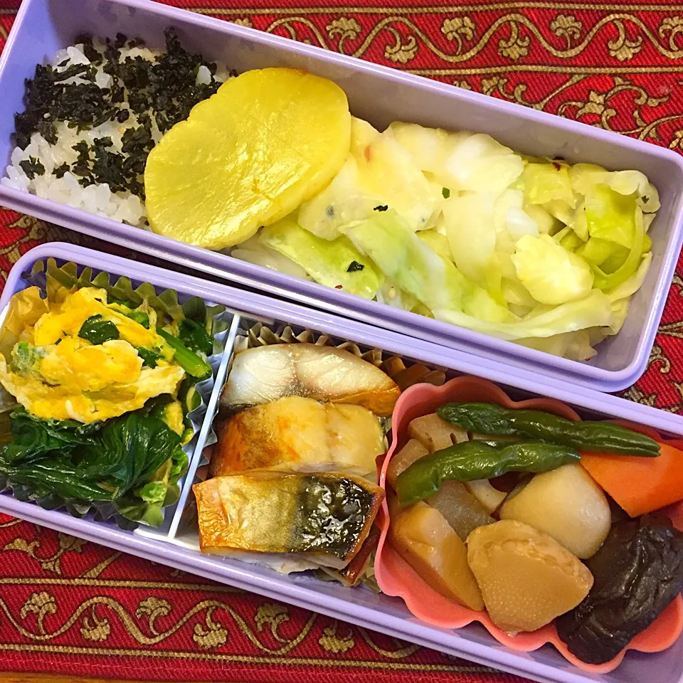 Snapdishの料理写真:塩鯖と野菜の煮物弁当|もえさん