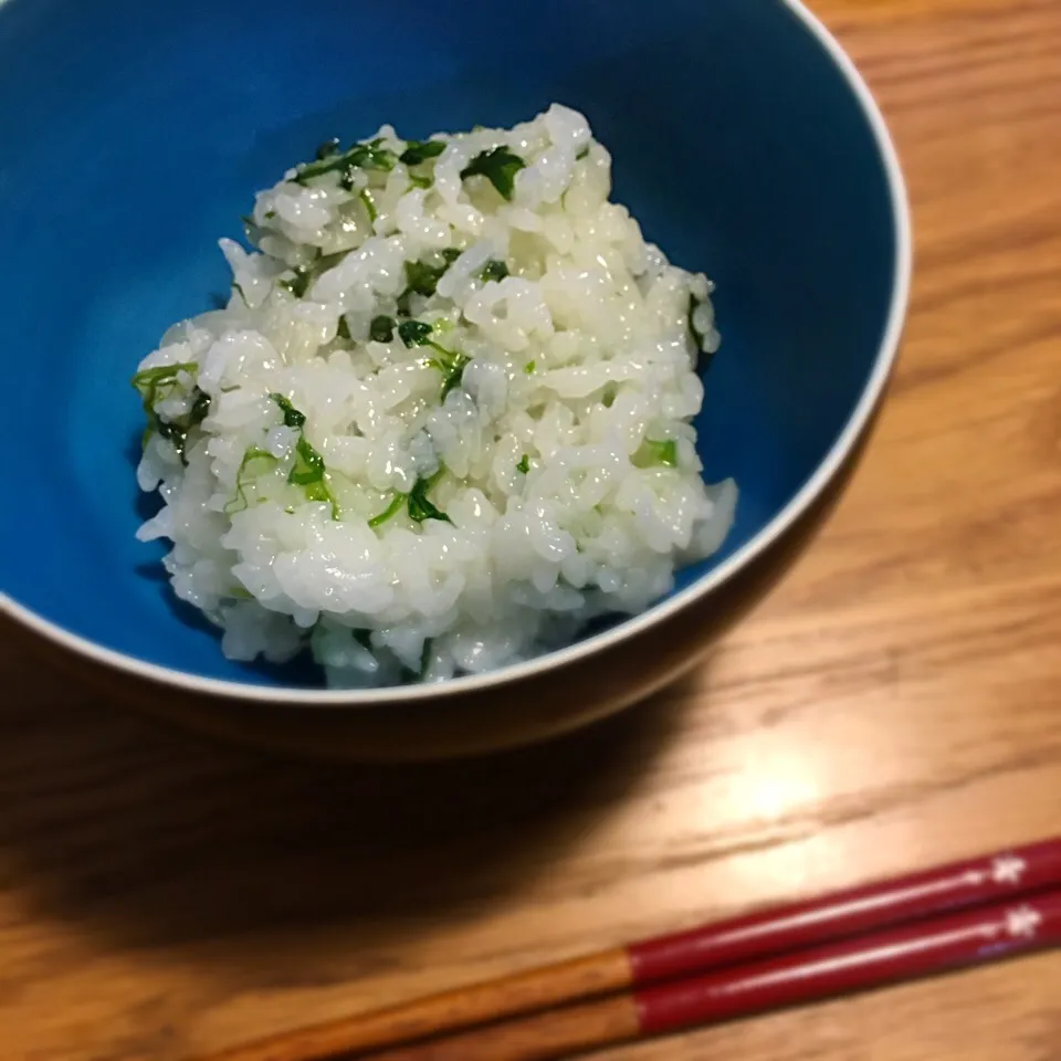 朝はつらいよ、七草粥|まるこさん