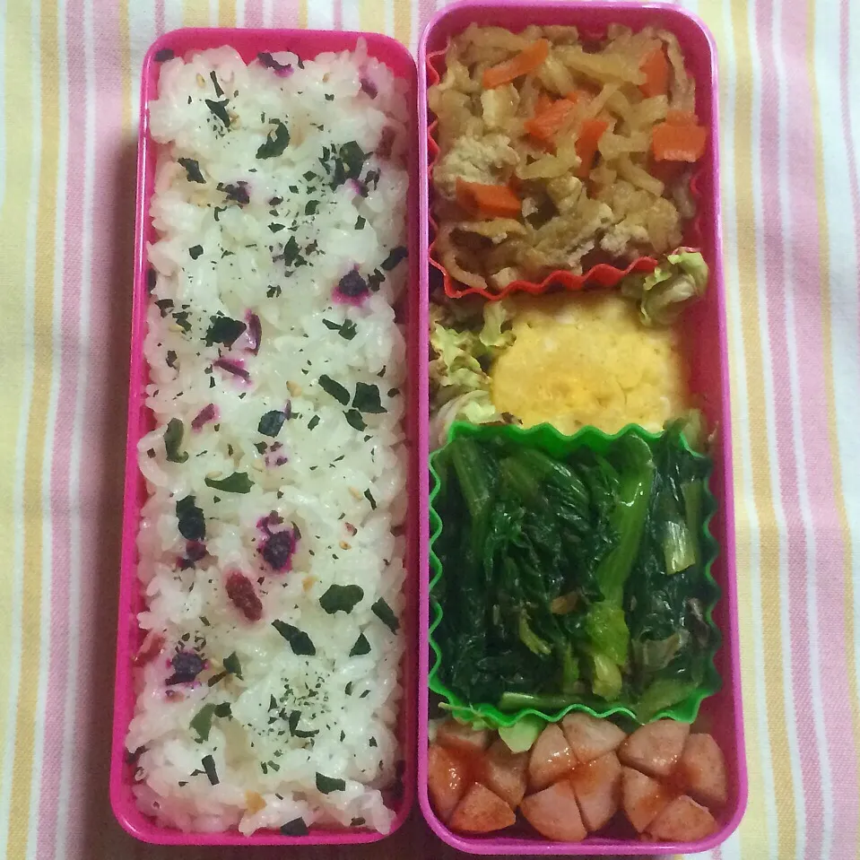 本日のお弁当|かよさん