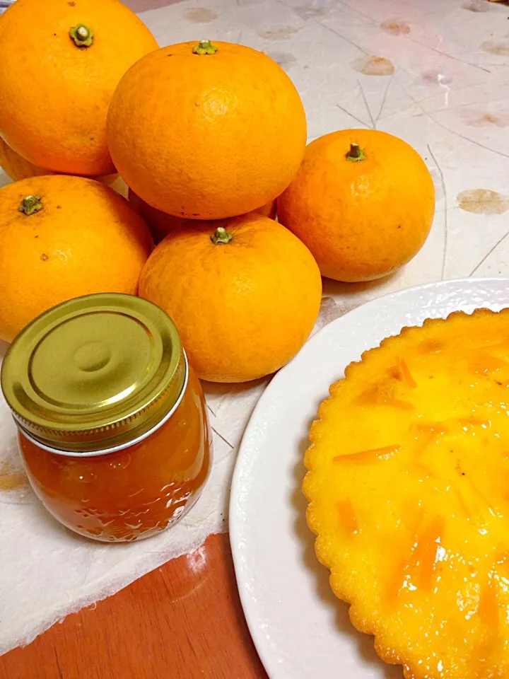 Snapdishの料理写真:夏みかんマーマレード🍊と夏みかんケーキ🍊|Miyukiさん