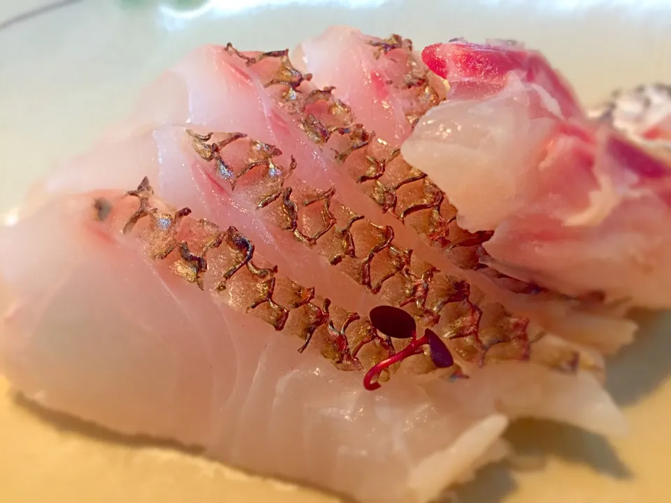 天然鯛の刺身🐟|buhizouさん