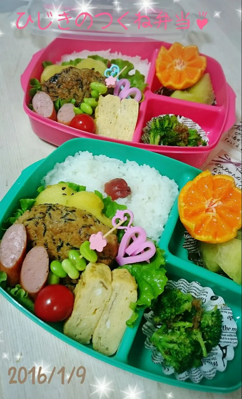 Snapdishの料理写真:娘ちゃんたちのお弁当🎵|Naoさん