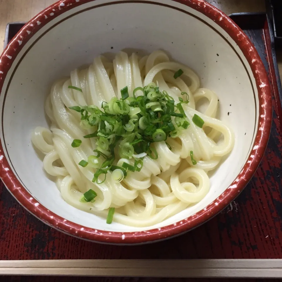 日の出製麺所 あついの小|kinakoさん