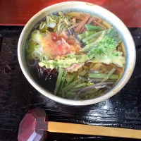 Snapdishの料理写真:山菜うどん|のっこーさん