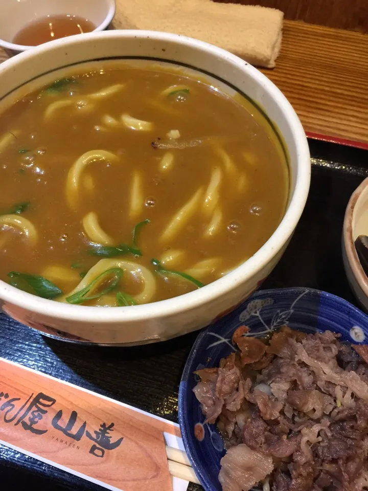 カレーうどん|愛ペガさん