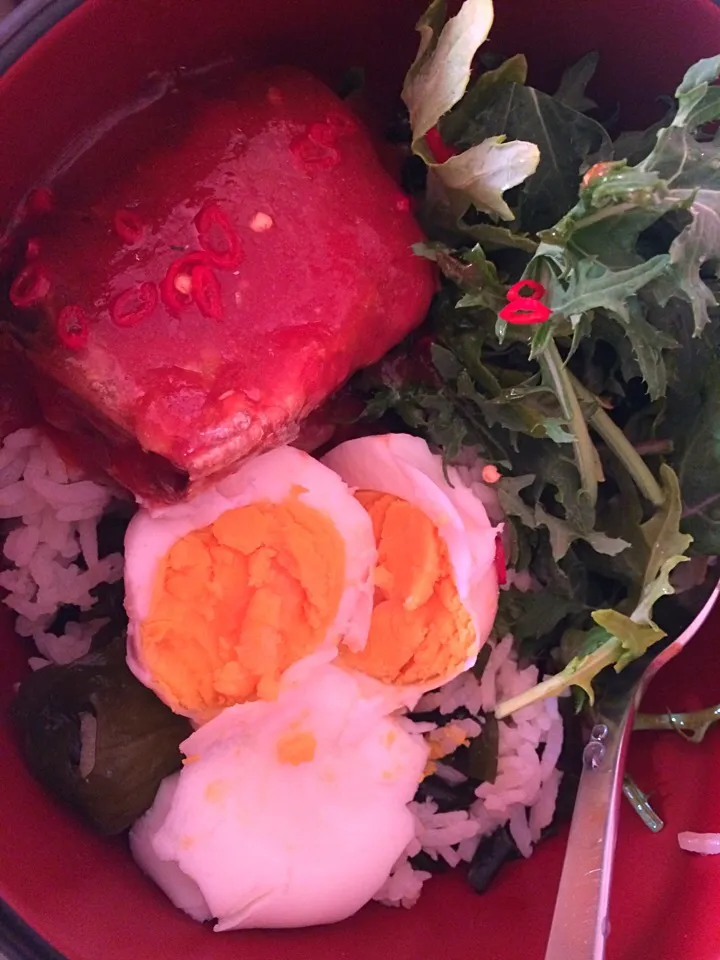 Rice bowl with baby kale, sardine with chilli and lime, and egg|Ong Sor Fernさん