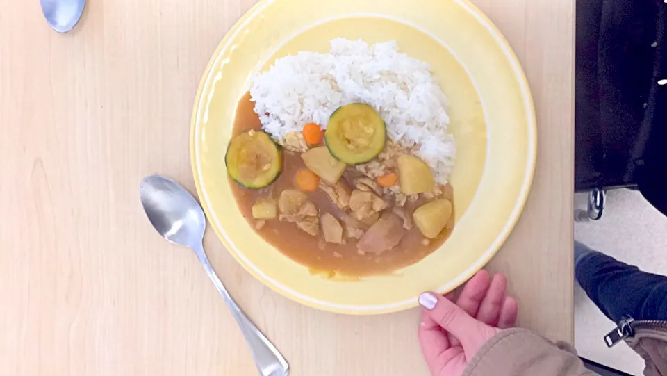 Snapdishの料理写真:Chicken Curry|Seira Tanakaさん