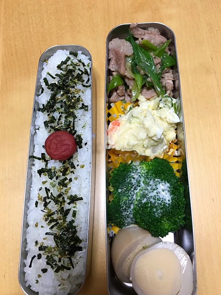 Snapdishの料理写真:豚肉と九条ネギの炒め物 ポテトサラダ ブロッコリー  煮卵弁当。|Kumiko Kimuraさん