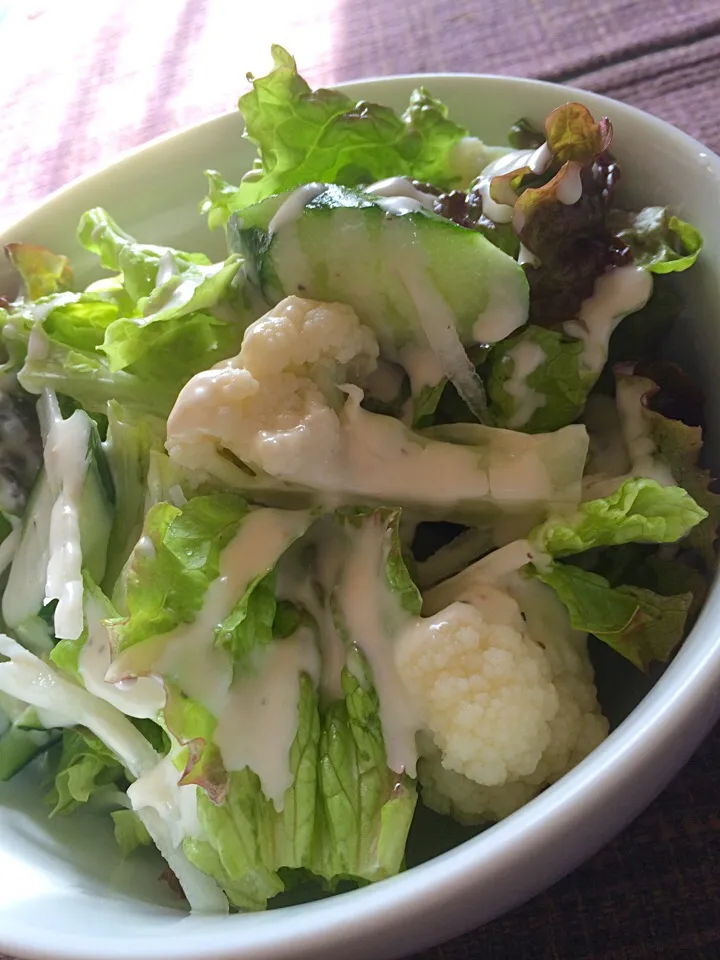 2016 healthy lunch.. Salad|Nigelさん