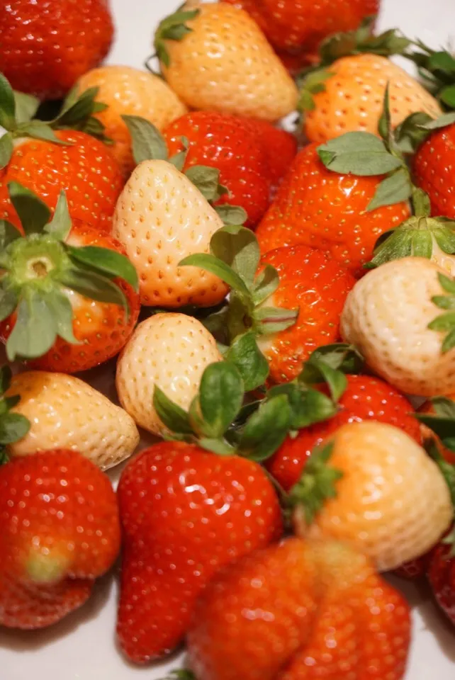 Snapdishの料理写真:苺🍓いちご🍓イチゴ  3種食べ比べ|Junさん