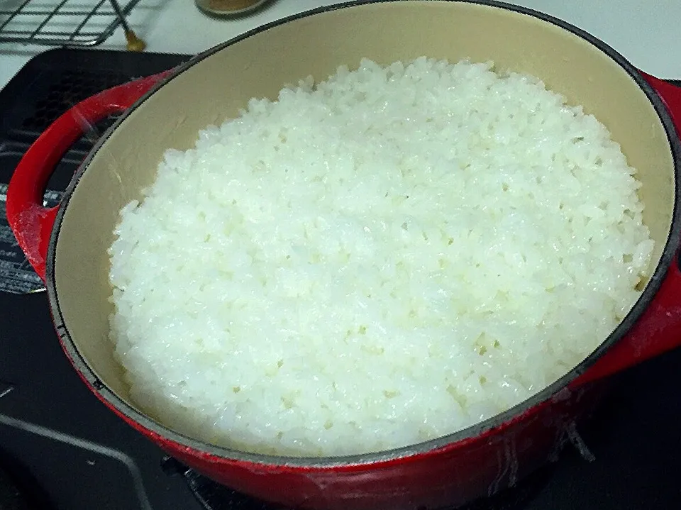 ルクルーゼのお正月のラッキーボックスに入っていたお鍋でご飯を炊いたら超美味しい〜🍚🍚🍚|BUBUさん