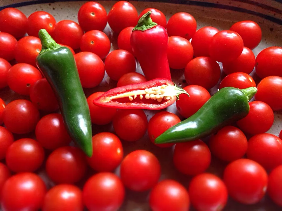 Chillies & cherry tomatoes|Cristiano Caputoさん