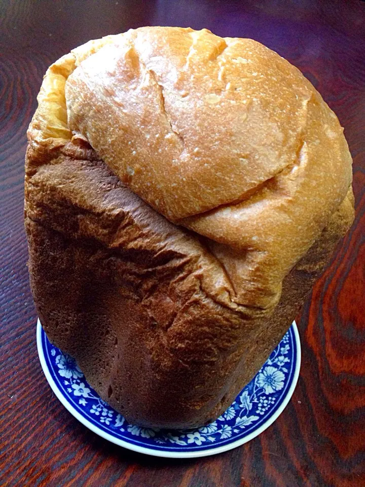 お初のホ-ムべ-カリ-🍞なんだかなぁ〜…グロ-ブみたいやなぁ😆✊🏾|Asa💕さん