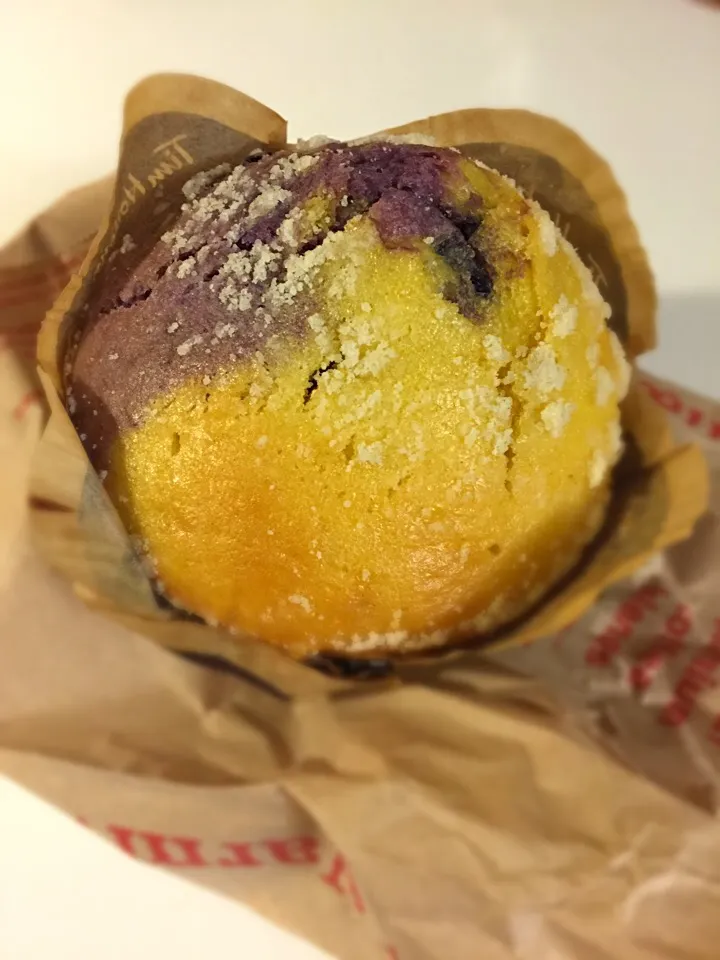 Lemon Blueberry Greek Yogurt Muffin 🍋🍩|prinSjさん