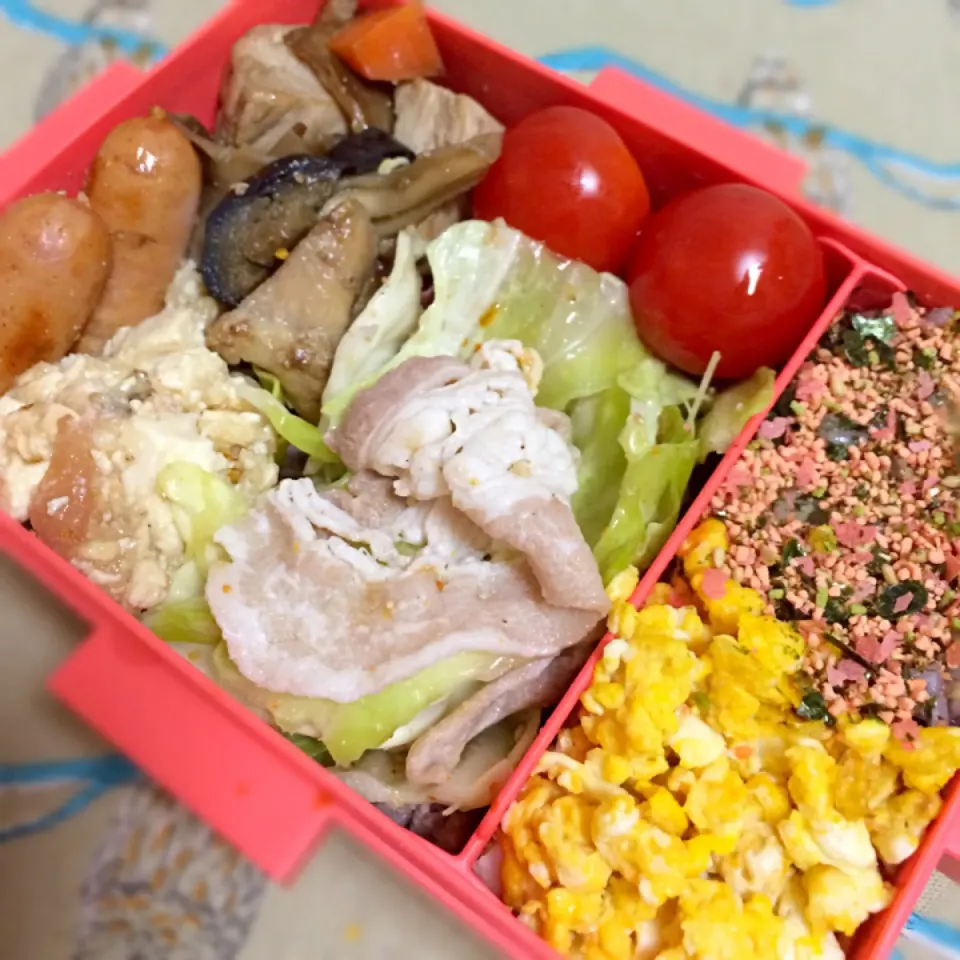 ダイエット弁当♡|さやかさん