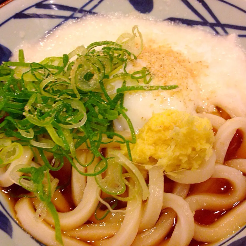 とろ玉うどん|はっちぃさん