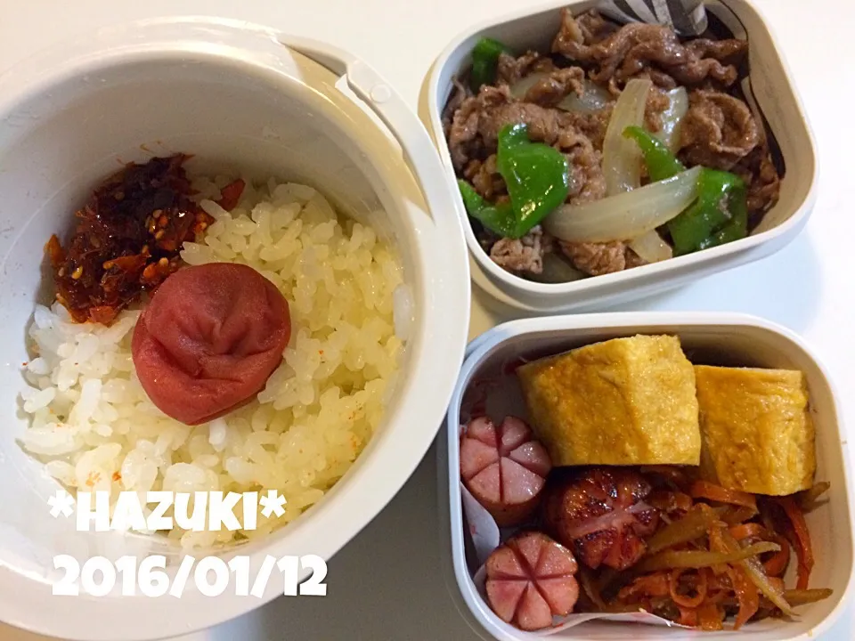 1月12日(火) 高校生息子弁当🍱🍱|Hazukiさん