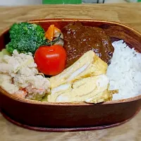 Snapdishの料理写真:煮込みハンバーグ弁当！|ちいさん