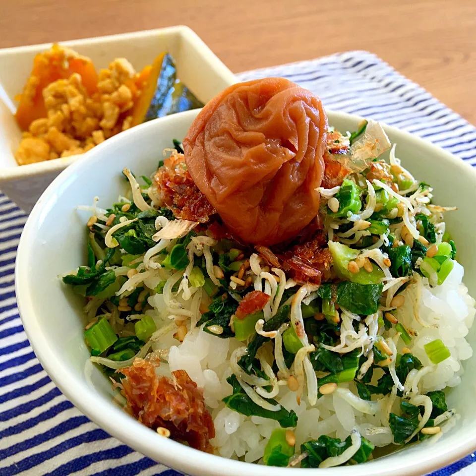 今日のお昼ごはん★
大根菜ふりかけごはん|あさこさん