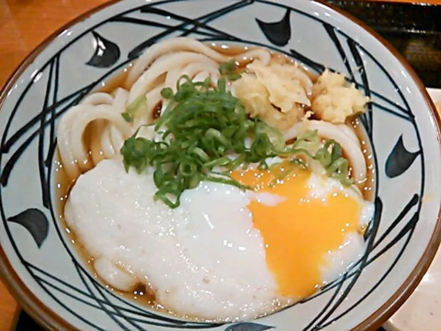 丸亀製麺のとろ玉うどん|じゅんこさん