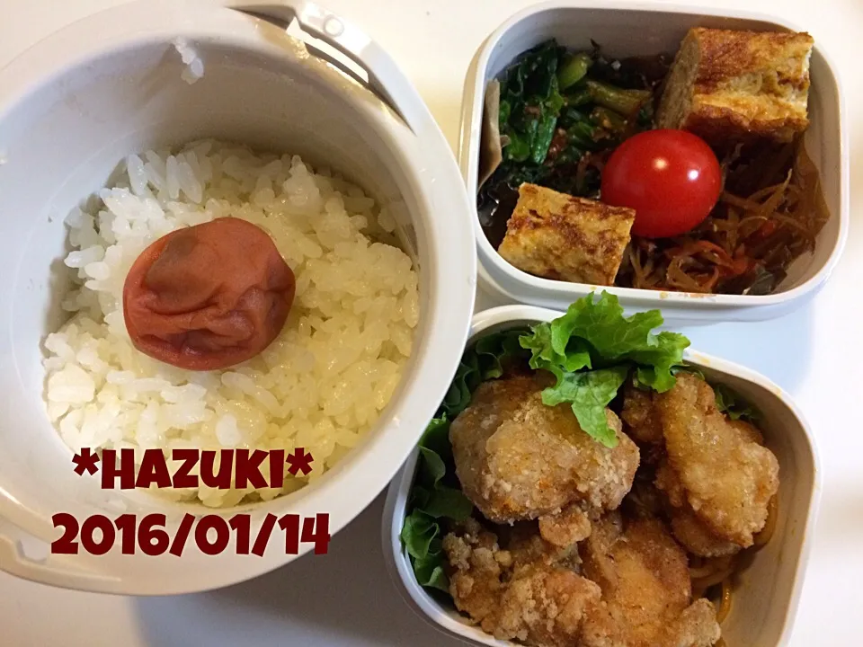 Snapdishの料理写真:1月14日(木) 高校生息子弁当🍱🍱|Hazukiさん