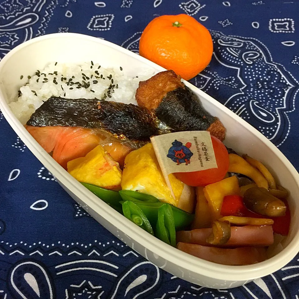 鮭弁当|🌀さん