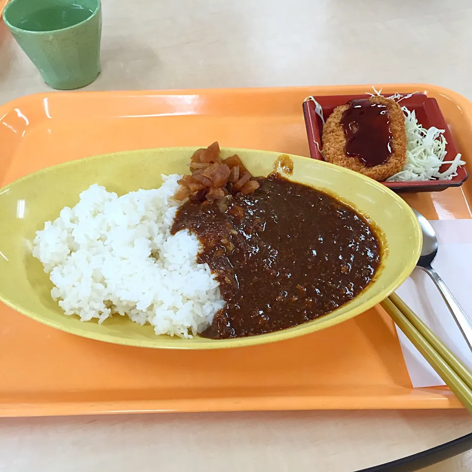 キーマカツカレー*\(^o^)/*|すかラインさん