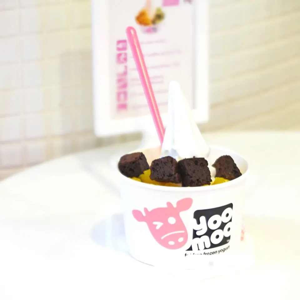 Fat Free Frozen Yogurt|Obeoom Jumsai Na Ayudhyaさん