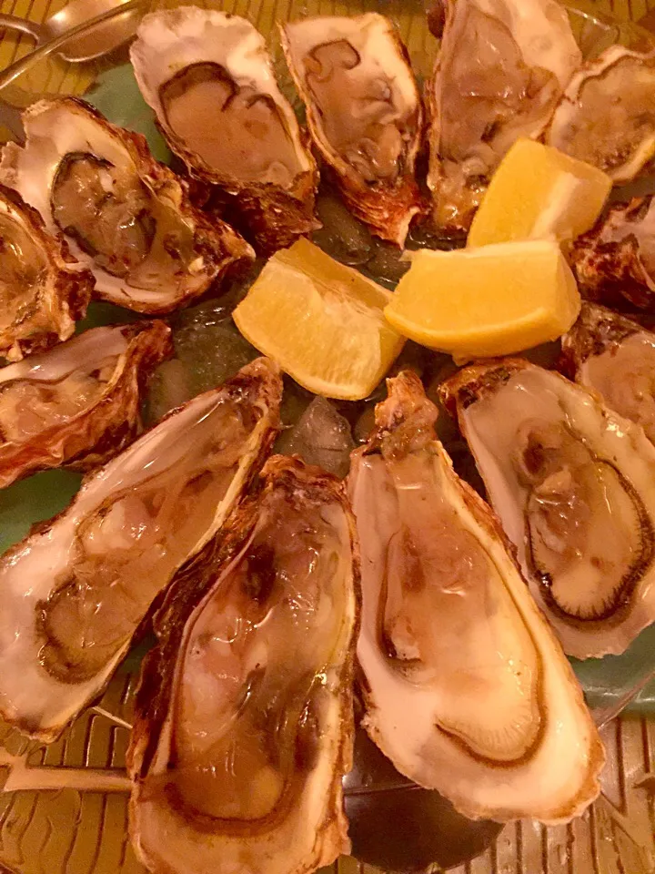 Snapdishの料理写真:Oysters|Generaalさん