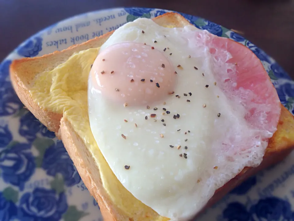 パズーの朝ご飯|マケマケ(金田)さん