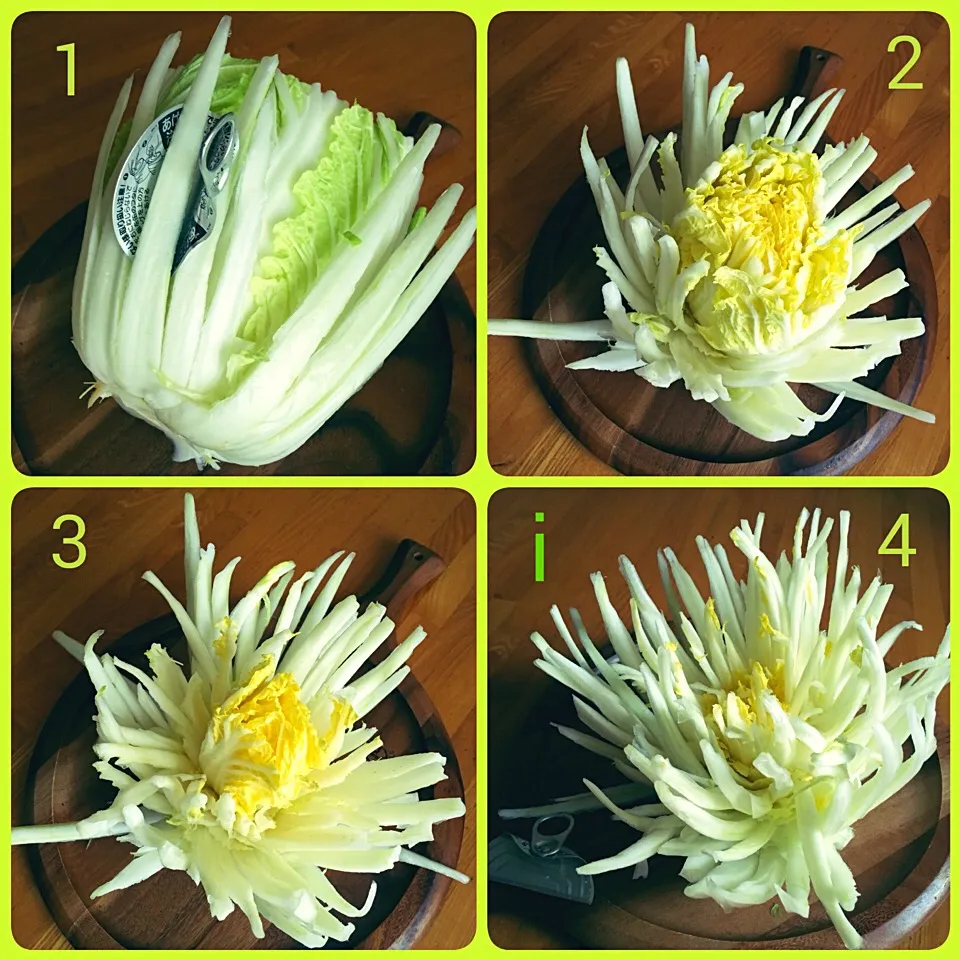 Snapdishの料理写真:缶詰の蓋で作った白菜の菊 【Chinese cabbage chrysanthemum made w/ lid of can 】|izoomさん