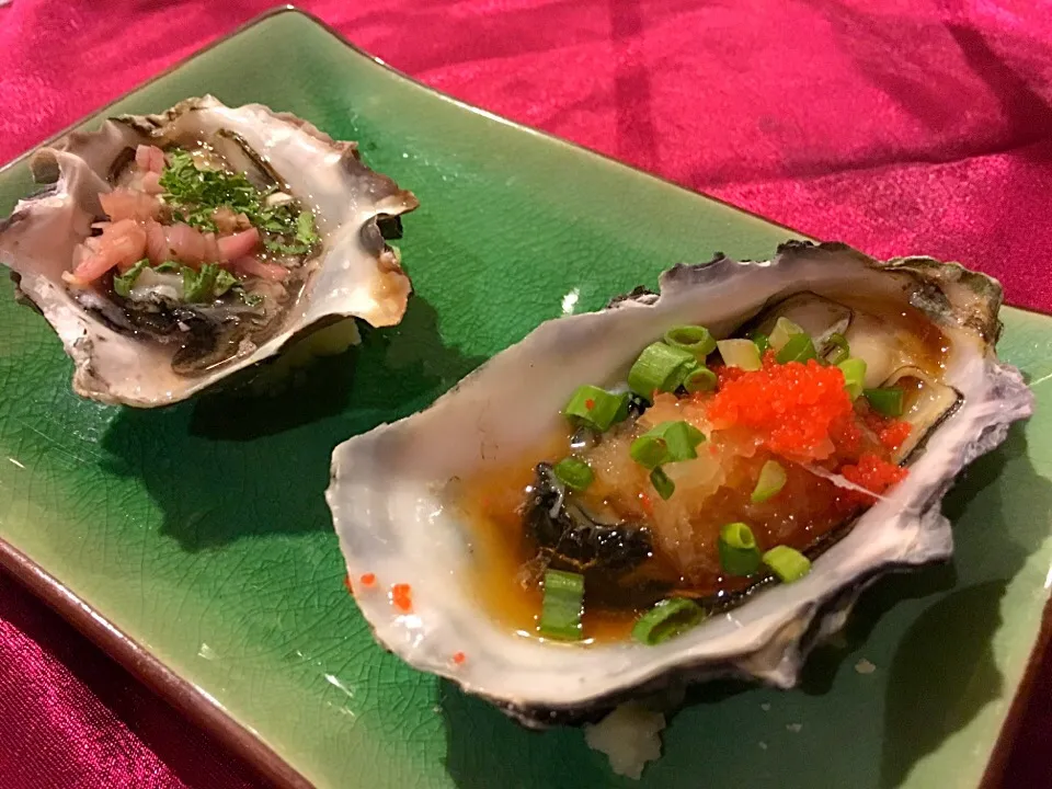 Oyster Duo|Carin Tayさん