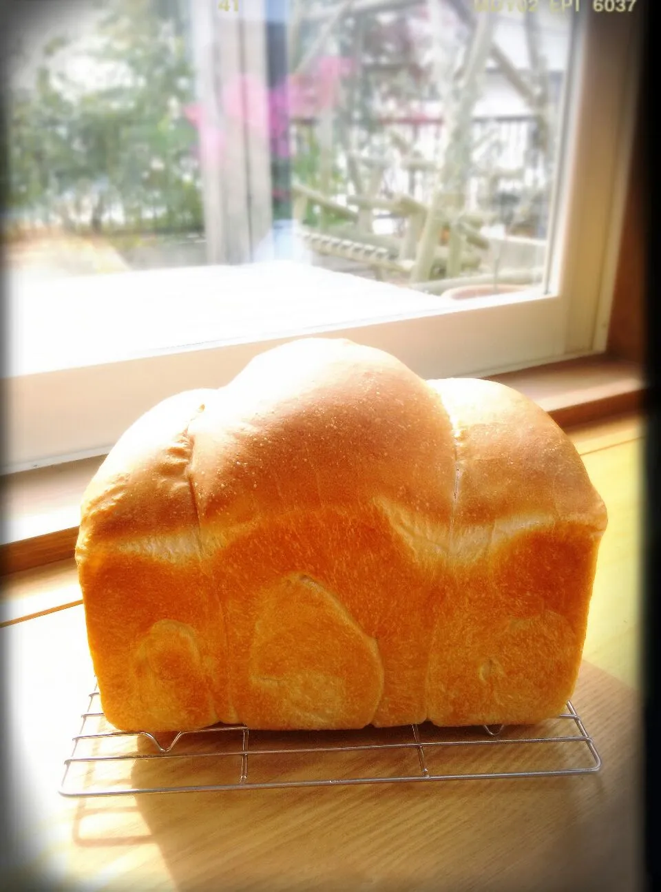 りんごちゃんの山食パン♪|きみちさん