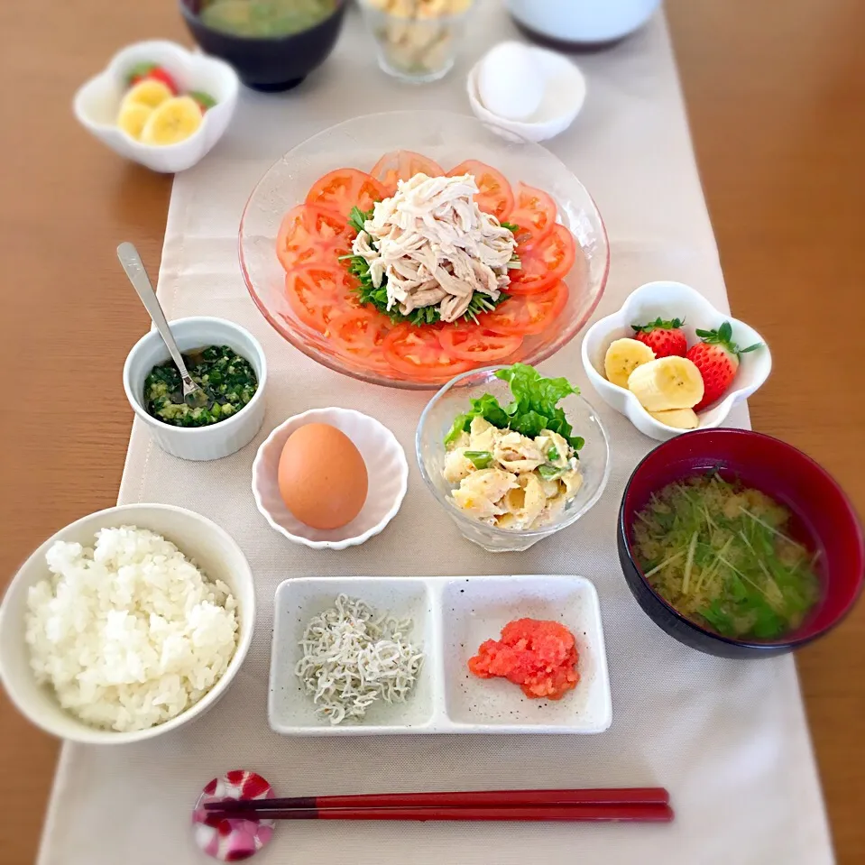 おひるごはん🍴（蒸し鶏のサラダ、たまご、たらこ、しらす、マカロニサラダ、お味噌汁、フルーツ）|むぎママさん