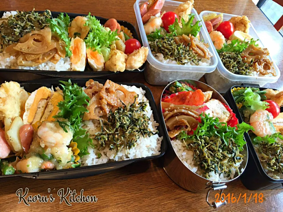 Snapdishの料理写真:今日のお弁当🍱🍱🍱🍱🍱😓|Kaoruさん