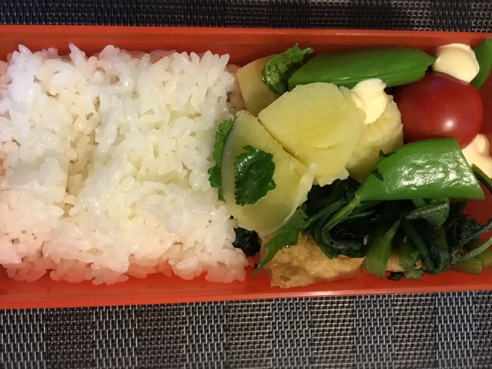 今日のヴィーガン弁当|aiさん