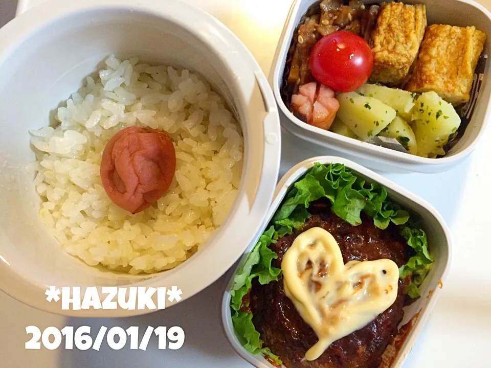 1月19日(火) 高校生息子Love弁当🍱🍱|Hazukiさん