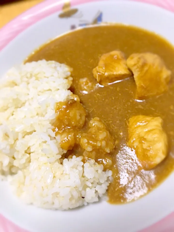 チキンカレー！バーミックス使用！|sakiさん