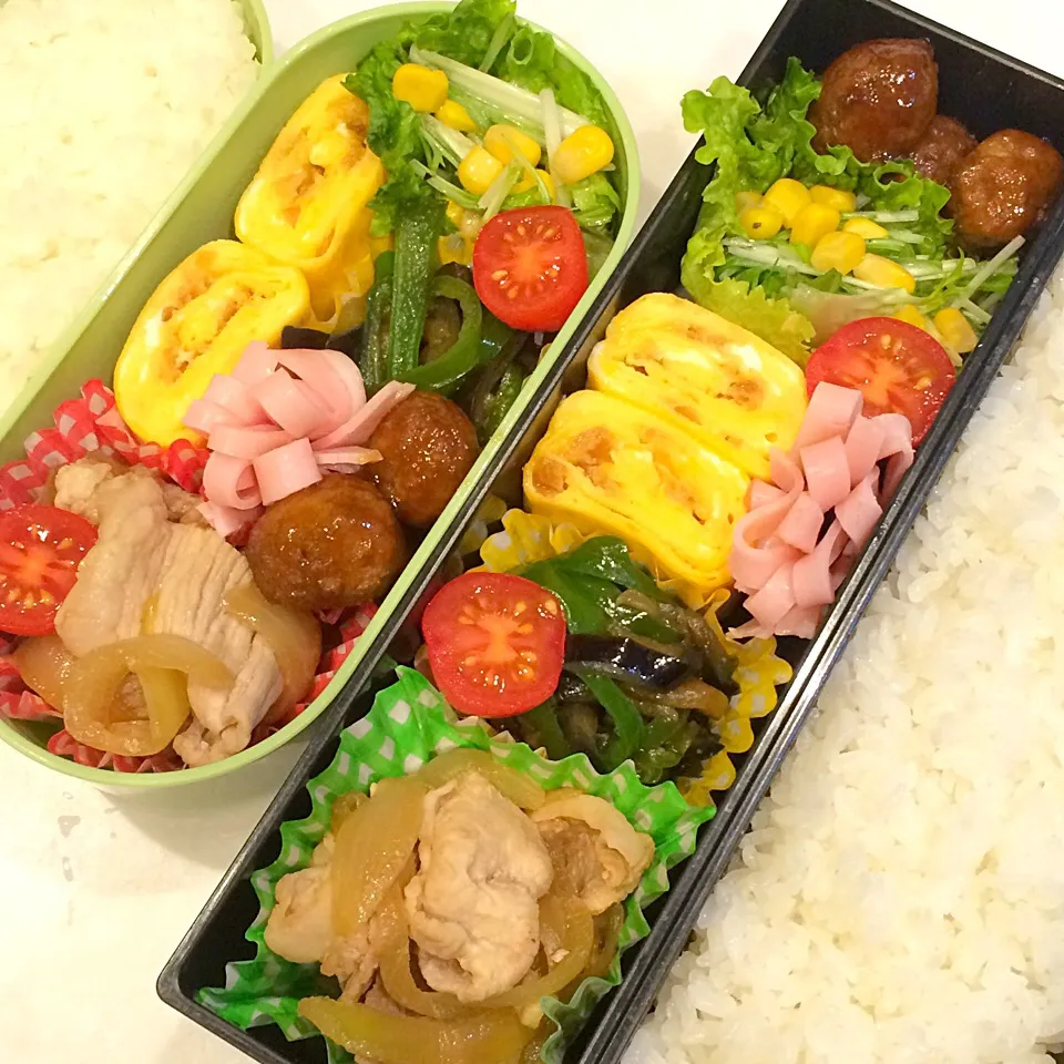 1/20お弁当|ci0nさん