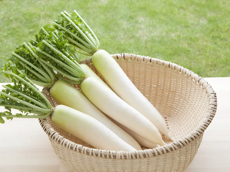 【保存版】野菜の美味しさが変わる！野菜の基本の切り方・保存方法 #AllAbout|All About 料理レシピさん